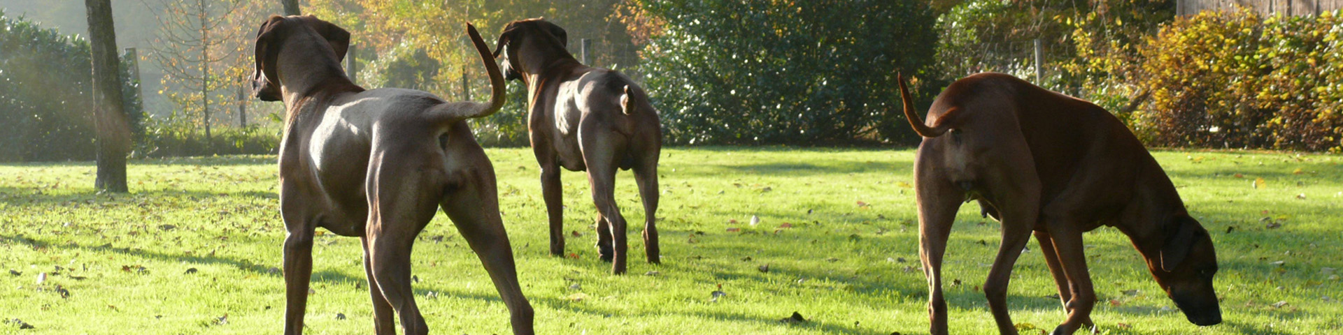 Geprüfte Zuchtstätte